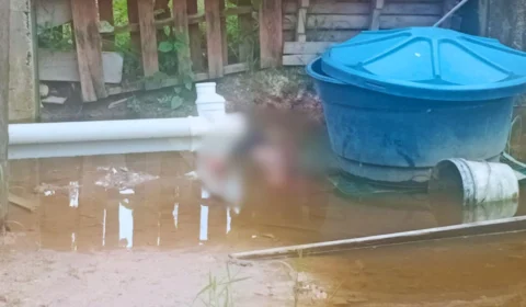 Homem é encontrado morto nos fundos de residência no bairro Tarumã, em Manaus