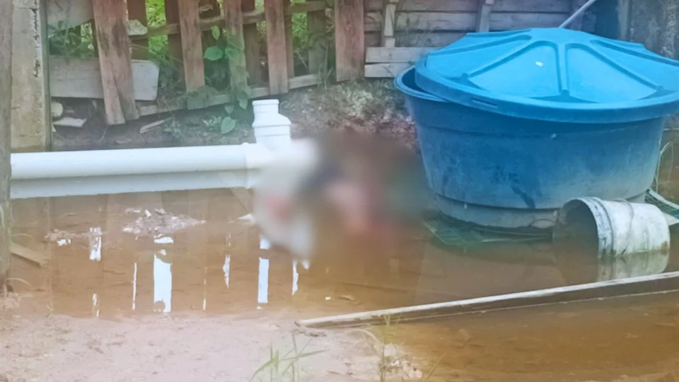 Homem é encontrado morto nos fundos de residência no bairro Tarumã, em Manaus