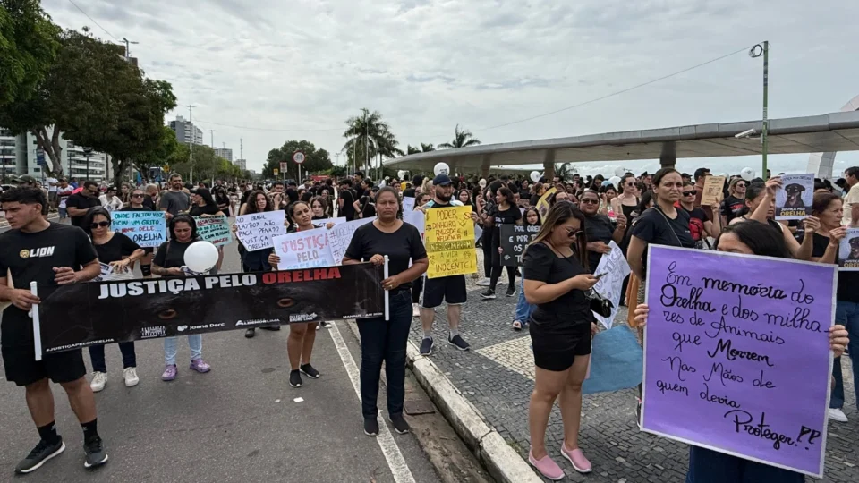 Veja o vídeo: Manifestação pede justiça pela morte do cão comunitário ‘Orelha’ na Ponta Negra