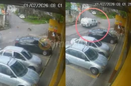 Veja o vídeo: Viatura da Polícia Militar atropela e mata dois cachorros na zona Leste de Manaus