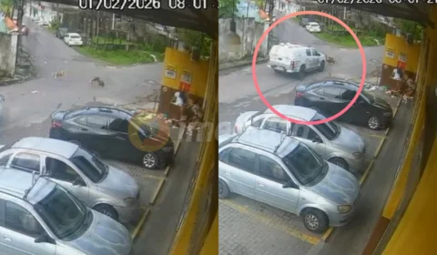 Veja o vídeo: Viatura da Polícia Militar atropela e mata dois cachorros na zona Leste de Manaus