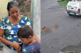 Veja o vídeo: ‘A viatura passou por cima da cabeça delas… os olhos saltaram para fora e eu entrei em estado de choque’, relata tutora de cadelas morta