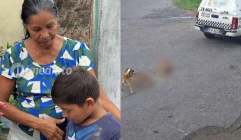 Veja o vídeo: ‘A viatura passou por cima da cabeça delas… os olhos saltaram para fora e eu entrei em estado de choque’, relata tutora de cadelas morta