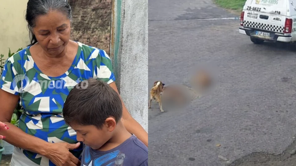 Veja o vídeo: ‘A viatura passou por cima da cabeça delas… os olhos saltaram para fora e eu entrei em estado de choque’, relata tutora de cadelas morta