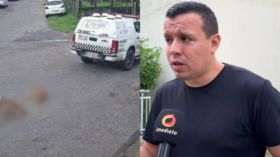 Veja o vídeo: Advogado aponta possível crime e omissão após morte de cadelas atropeladas por viatura em Manaus