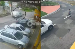 Associação aponta tratamento desigual entre caso de PMs presos por atropelarem cães e a ausência de medida cautelar na morte de Ângela Bulbol