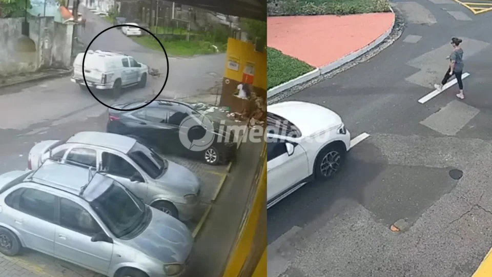 Associação aponta tratamento desigual entre caso de PMs presos por atropelarem cães e a ausência de medida cautelar na morte de Ângela Bulbol