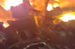VÍDEO: bombeiro arrisca a própria vida para salvar cadela durante incêndio em MG