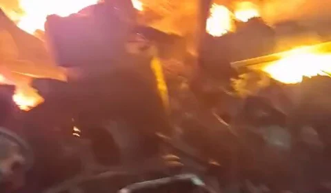 VÍDEO: bombeiro arrisca a própria vida para salvar cadela durante incêndio em MG