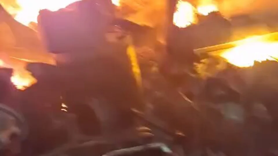VÍDEO: bombeiro arrisca a própria vida para salvar cadela durante incêndio em MG