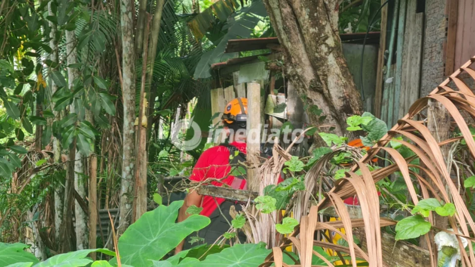 Imagens fortes: Tronco humano é encontrado em área de mata no bairro Cidade de Deus