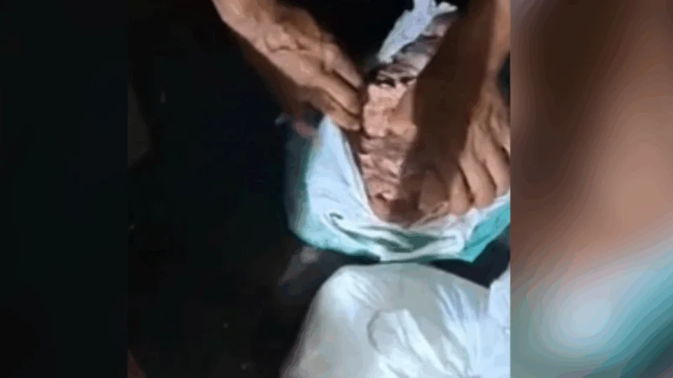 VÍDEO: droga é encontrada escondida em carne dentro de embarcação no AM