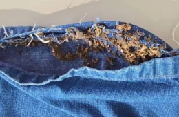 VÍDEO: irmãos são presos ao tentar levar drogas escondidas na roupa para cadeia no AM