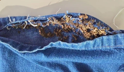 VÍDEO: irmãos são presos ao tentar levar drogas escondidas na roupa para cadeia no AM