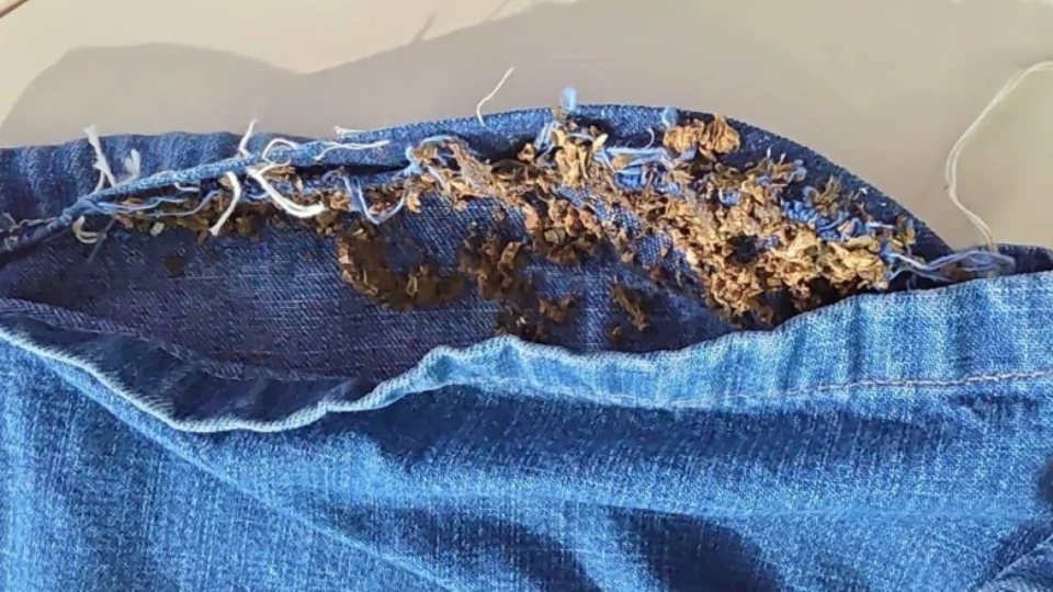 VÍDEO: irmãos são presos ao tentar levar drogas escondidas na roupa para cadeia no AM