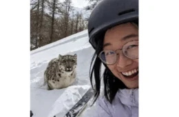 Alerta ignorado: turista atacada por leopardo-da-neve em estação de esqui