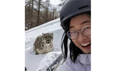 Alerta ignorado: turista atacada por leopardo-da-neve em estação de esqui