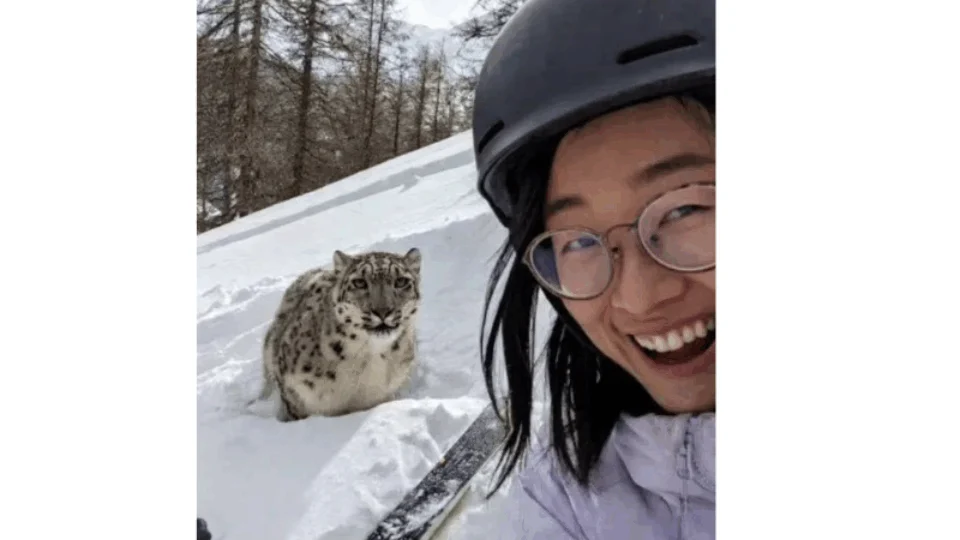 Alerta ignorado: turista atacada por leopardo-da-neve em estação de esqui