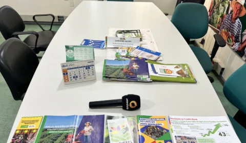 Agricultura familiar impulsiona economia e garante alimentos em Rondônia