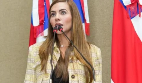 Projeto de Débora Menezes aprovado pela ALEAM estabelece regras para “adegas” e proteção de menores