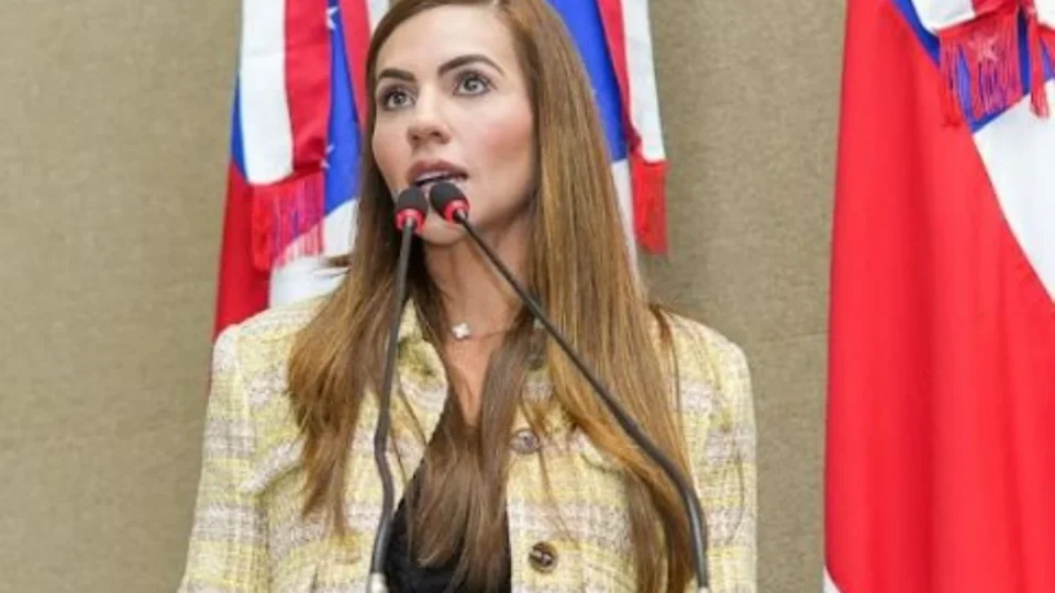 Projeto de Débora Menezes aprovado pela ALEAM estabelece regras para “adegas” e proteção de menores