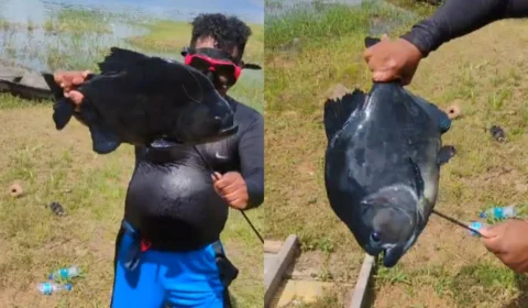 Veja vídeo: pescador captura piranha-preta ‘gigante’ no Balneário do Miriti, em Manacapuru