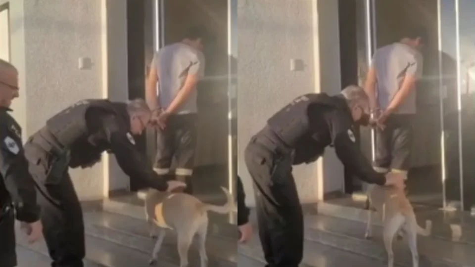 Vídeo: Delegado interrompe escolta para fazer carinho em cadela e cena emociona