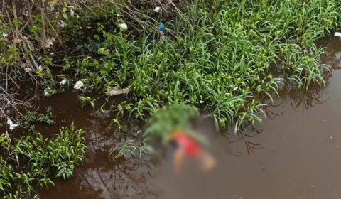 Corpo é encontrado em igarapé próximo à Ponte da Conciliação, no bairro São Jorge