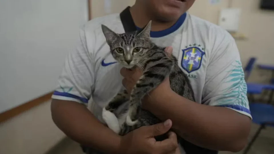 Mais de 2 mil animais devem ser castrados em mutirão histórico no Centro de Manaus