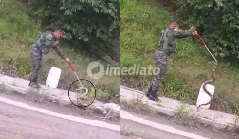 Cobra é resgatada por policial após assustar pedestres próximo à Bola da Suframa, em Manaus