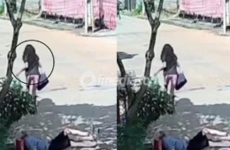 VÍDEO: Mulher é presa após oferecer ajuda e em seguida roubar a carteira de idoso de 92 anos 