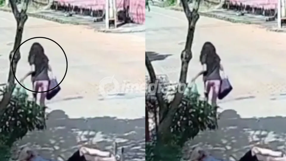 VÍDEO: Mulher é presa após oferecer ajuda e em seguida roubar a carteira de idoso de 92 anos 