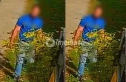 Operação Arca da Justiça: Homem que agrediu gato em condomínio de Manaus é preso após fugir para Brasília