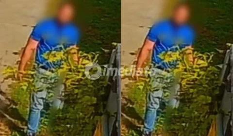 Operação Arca da Justiça: Homem que agrediu gato em condomínio de Manaus é preso após fugir para Brasília