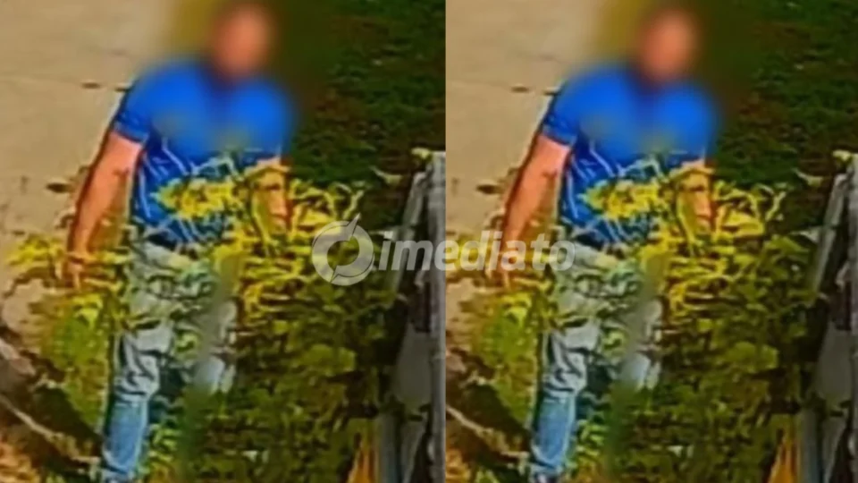 Operação Arca da Justiça: Homem que agrediu gato em condomínio de Manaus é preso após fugir para Brasília