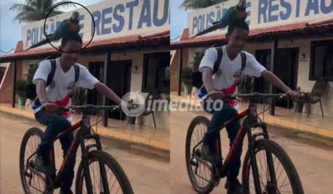 VÍDEO: Arara-canindé surpreende jovem ao “pegar carona” em passeio de bicicleta na Bahia