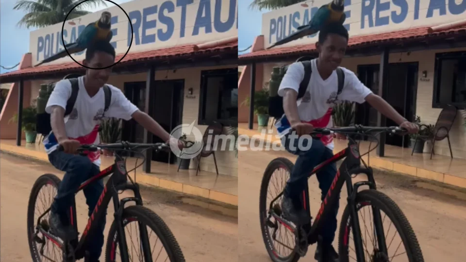 VÍDEO: Arara-canindé surpreende jovem ao “pegar carona” em passeio de bicicleta na Bahia