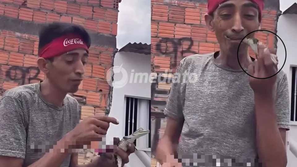 VÍDEO: Homem é flagrado passeando com filhote de jacaré e chama animal de ‘filho’ em Manaus