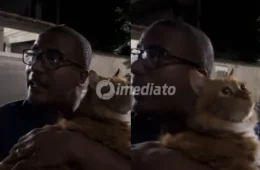 VÍDEO: Vizinhos entram em discussão após gato laranja ser ‘acusado’ de sumiço de galinha