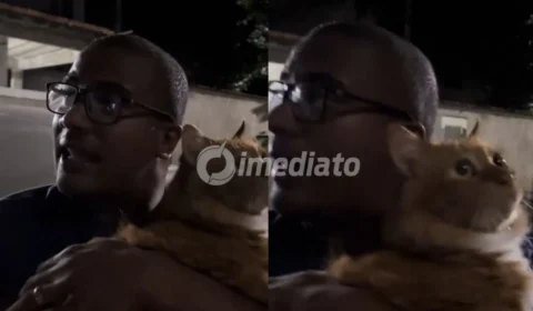 VÍDEO: Vizinhos entram em discussão após gato laranja ser ‘acusado’ de sumiço de galinha