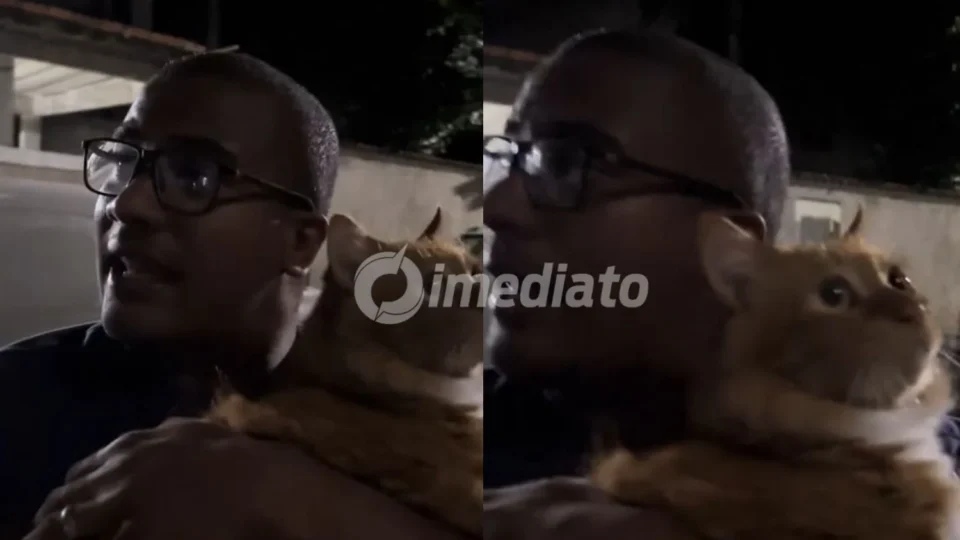 VÍDEO: Vizinhos entram em discussão após gato laranja ser ‘acusado’ de sumiço de galinha