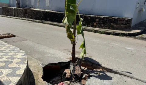 Moradores plantam bananeira em buraco há seis meses no Lírio do Vale 2