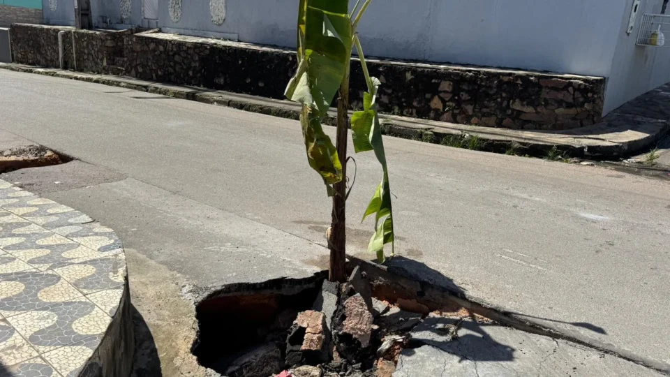 Moradores plantam bananeira em buraco há seis meses no Lírio do Vale 2