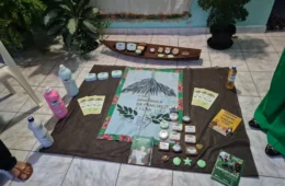 Projeto comunitário transforma resíduos em renda e promove sustentabilidade na zona leste de Manaus