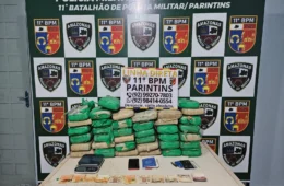 Polícia Militar apreende 38 tabletes de drogas em imóvel usado como depósito em Parintins
