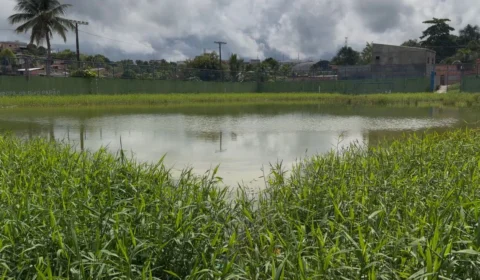 “Virou piscina” quadra abandonada há mais de um ano revolta moradores no Monte das Oliveiras