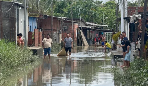 “A gente trabalha e luta, mas hoje perdemos tudo”, diz morador após casas serem invadidas pela água em Manaus