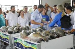 Governador Wilson Lima inicia entrega de 470 toneladas de peixe e reforça segurança alimentar na Semana Santa