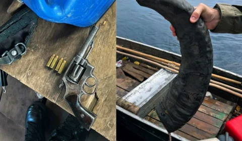 Operação “Fronteira Viva” prende dupla e apreende armas em área de conservação