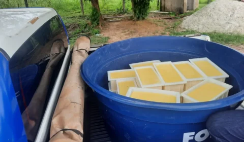 Fiscalização interdita produção clandestina de queijo no interior do Pará